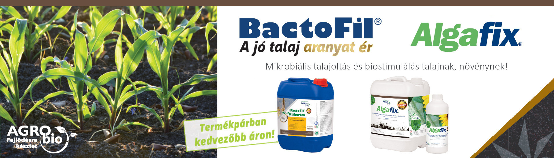 BactoFil termékcsalád és az Algafix  